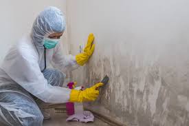 Forensic Mold Investigation in Woodbridge, CA